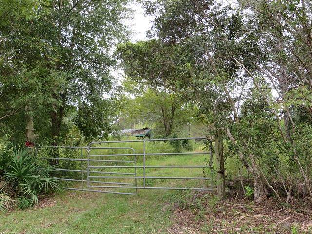 780 Hickory Hammock Rd - Photo 1