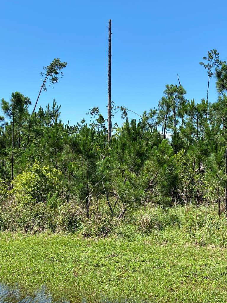 Lot 5 Wide Water Cir - Photo 1