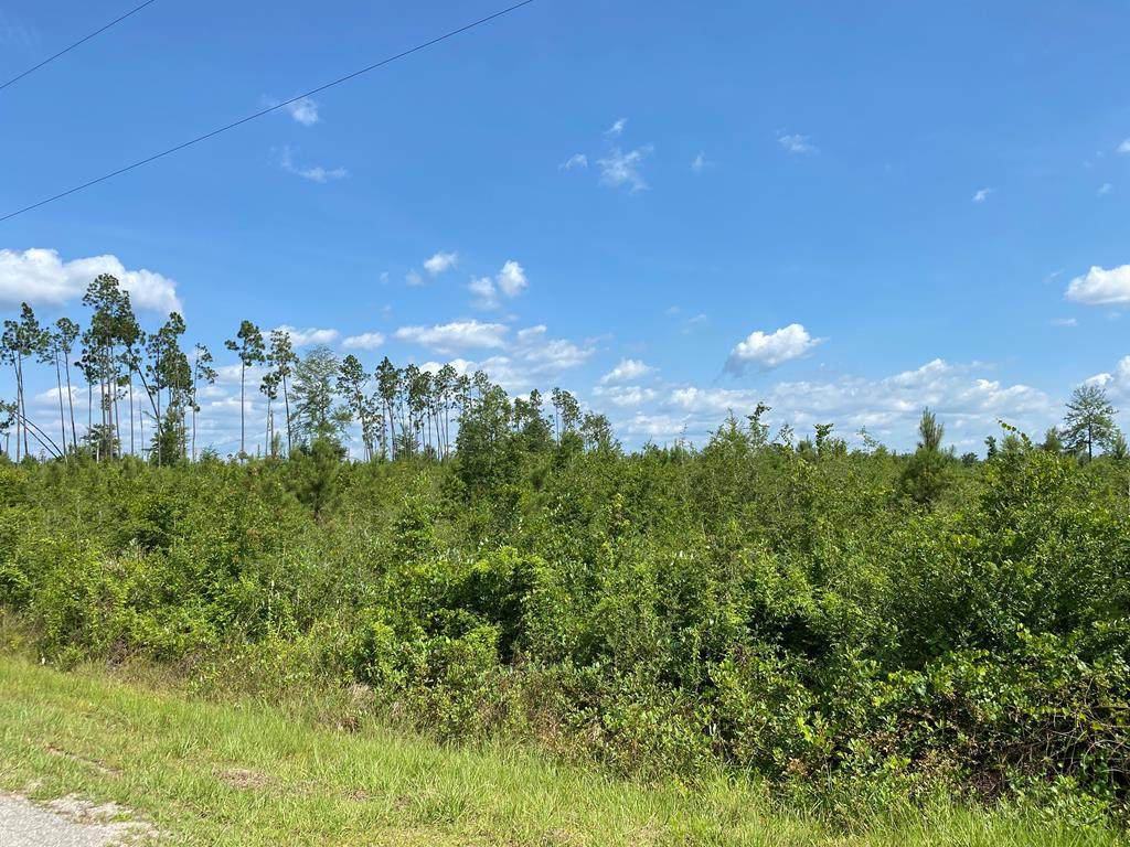 4 Hwy 71 N - Photo 1