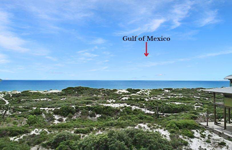 Lot 5 Gulf Hibiscus Dr - Photo 1