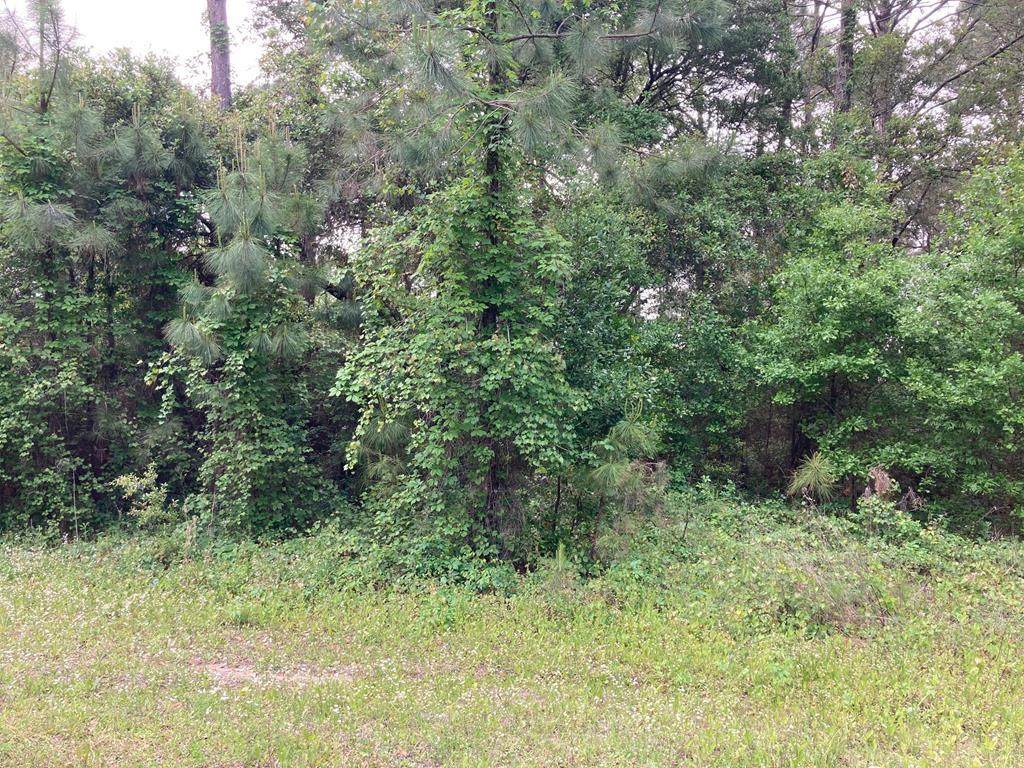 6 Bluewater Bay Cir - Photo 1