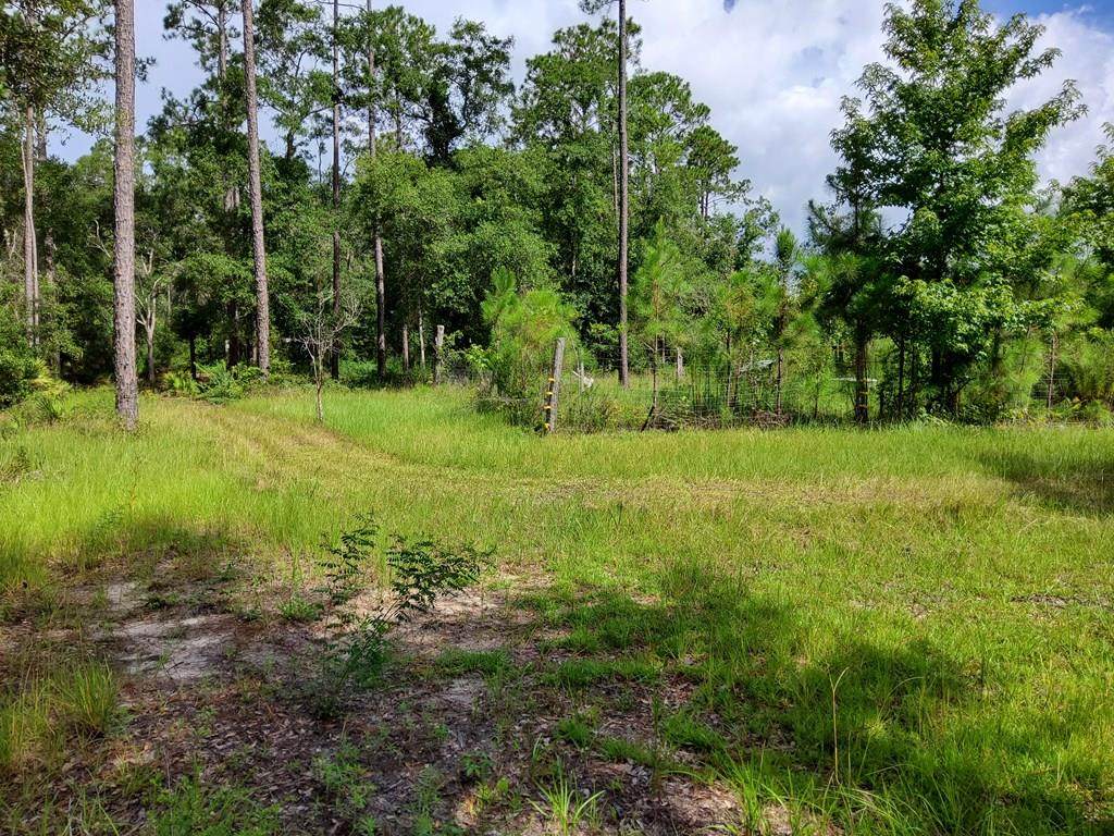 470 Hickory Hammock Rd - Photo 1