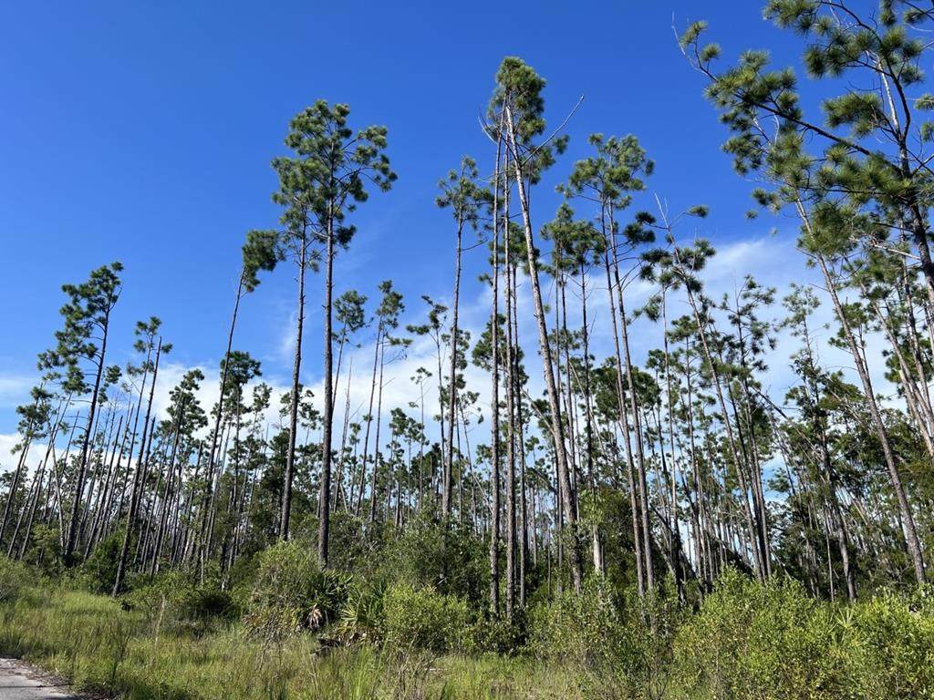 LOT 33 E Bay Dr - Photo 1