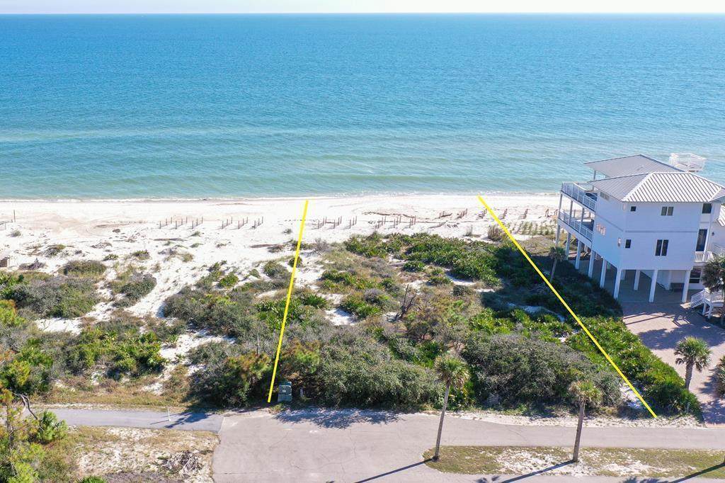 2120 Sea Fern Way - Photo 1