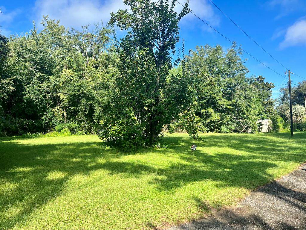 Lot 9 Oak Ave - Photo 1