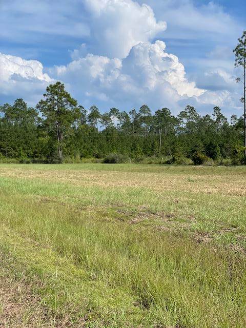 TBD Spanish Moss Way - Photo 1