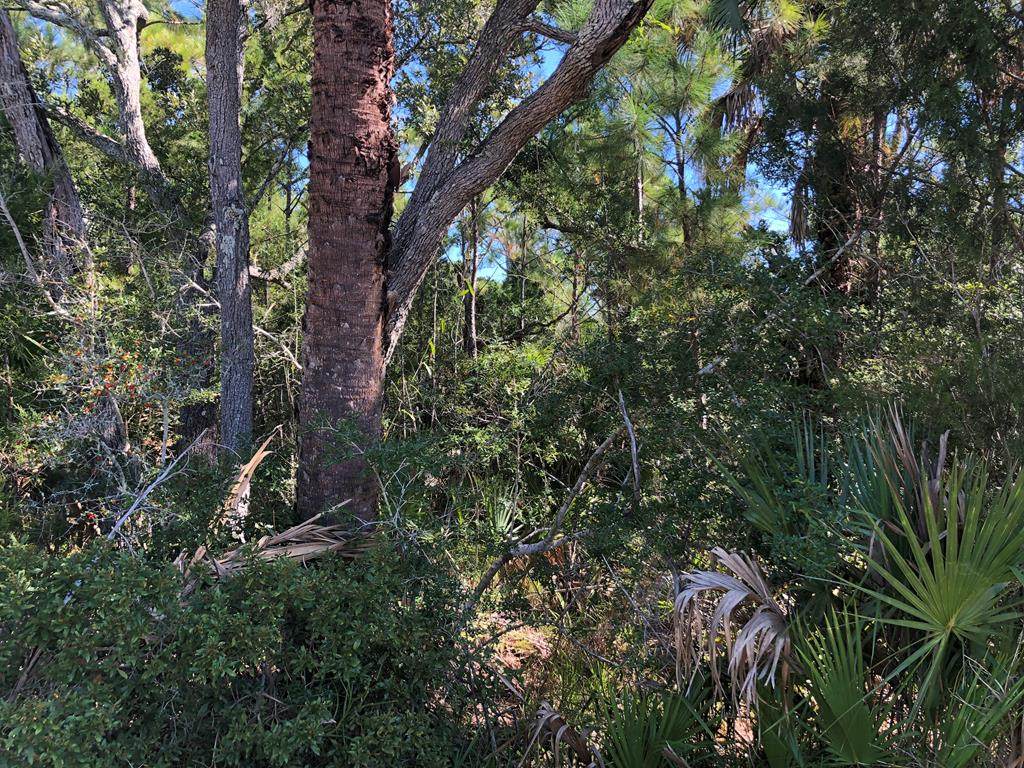 xxx Oyster Bay Dr - Photo 1