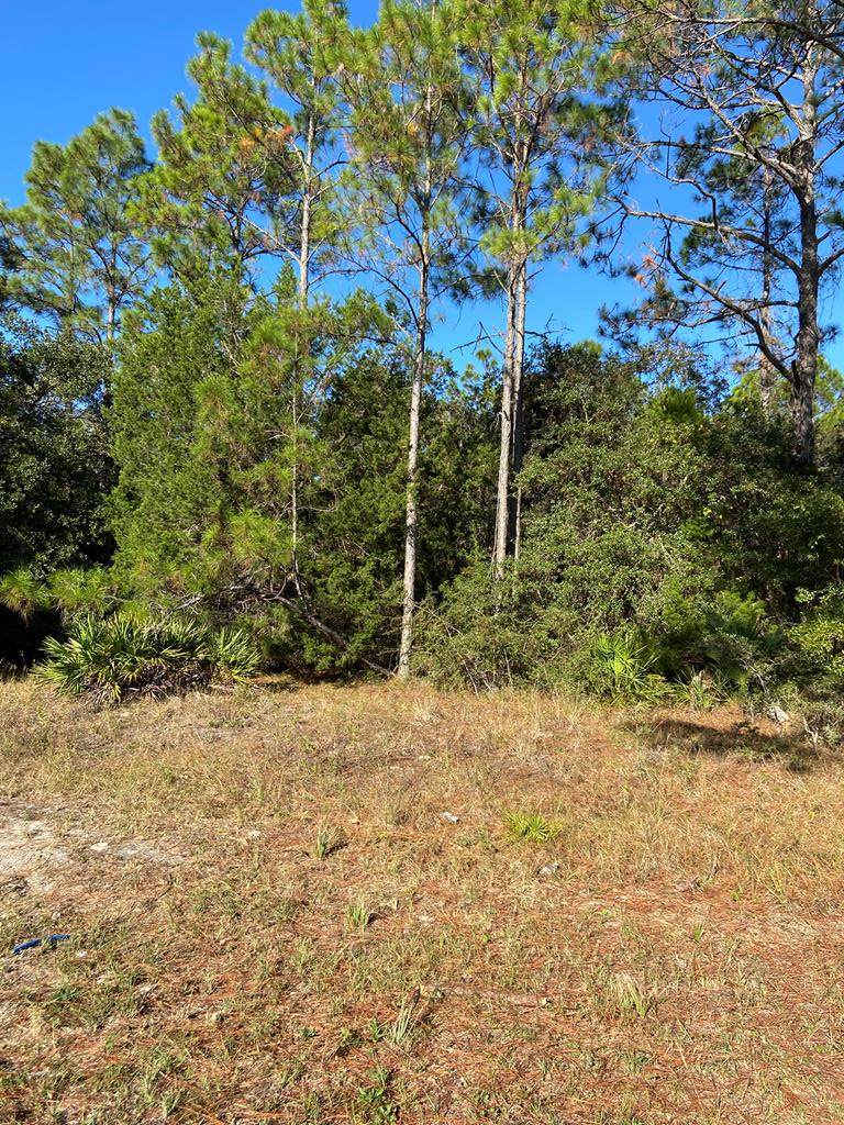 232 Apalachee St - Photo 1