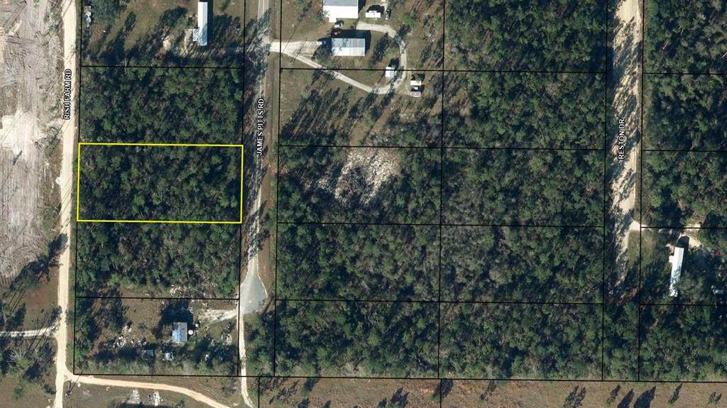 0 James Pitts Rd - Photo 1