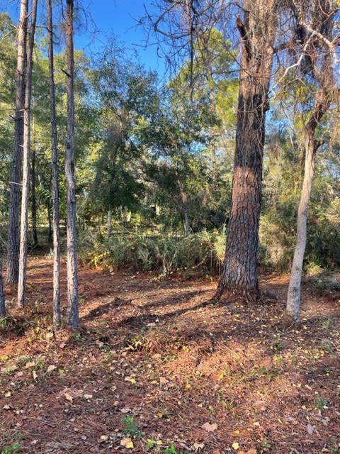 502 Se Ave A - Photo 1