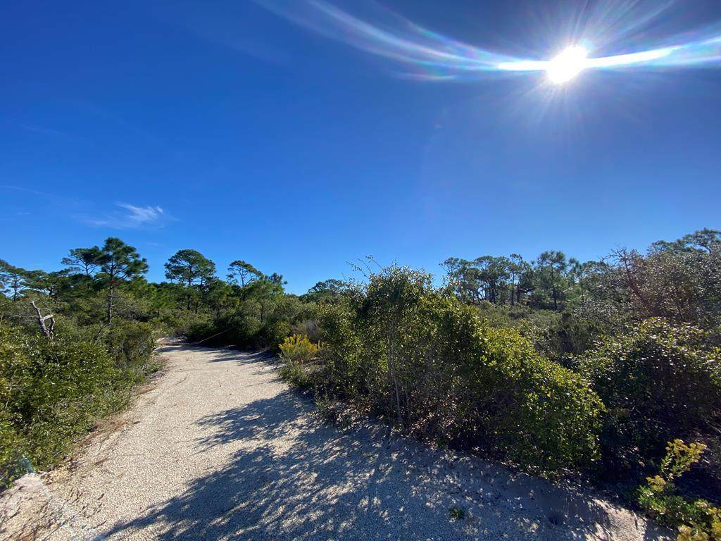 1328 Azalea Dr - Photo 1