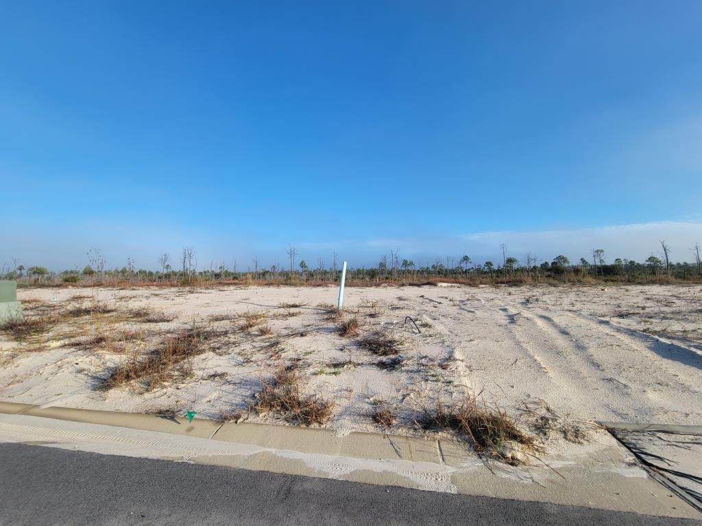 213 Sugar Sand E - Photo 1