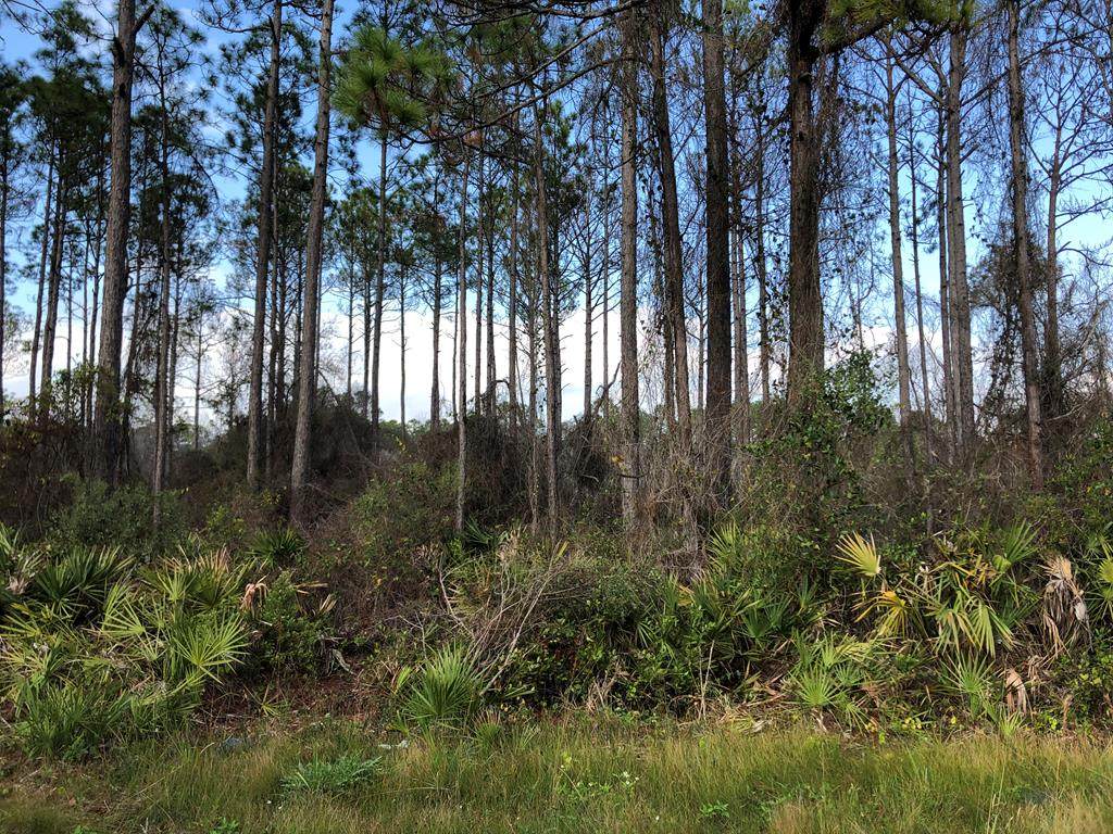 221 Baywood Dr - Photo 1