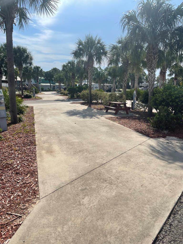 1843 Hwy 98 W - Photo 1