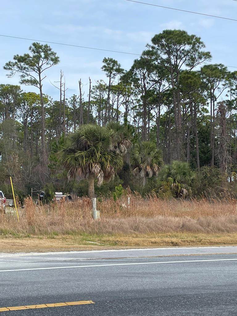 TBD Cape San Blas Rd - Photo 1