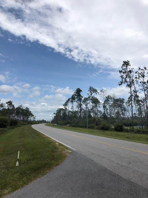TBD Cr 386 N - Photo 1
