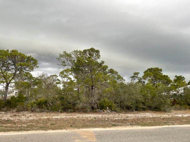 259 Sago Dr - Photo 1