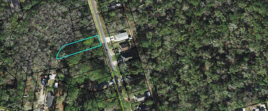 Lot 27 Blackfoot Rd - Photo 1