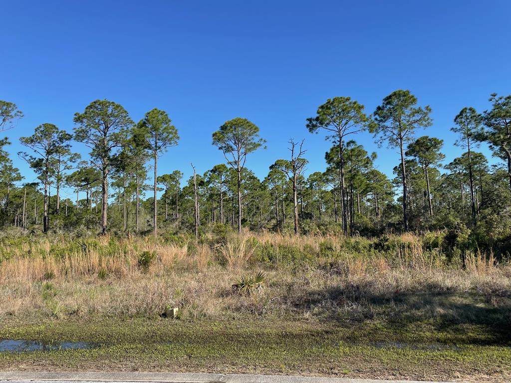 Lot 18 Shallow Reed Dr - Photo 1