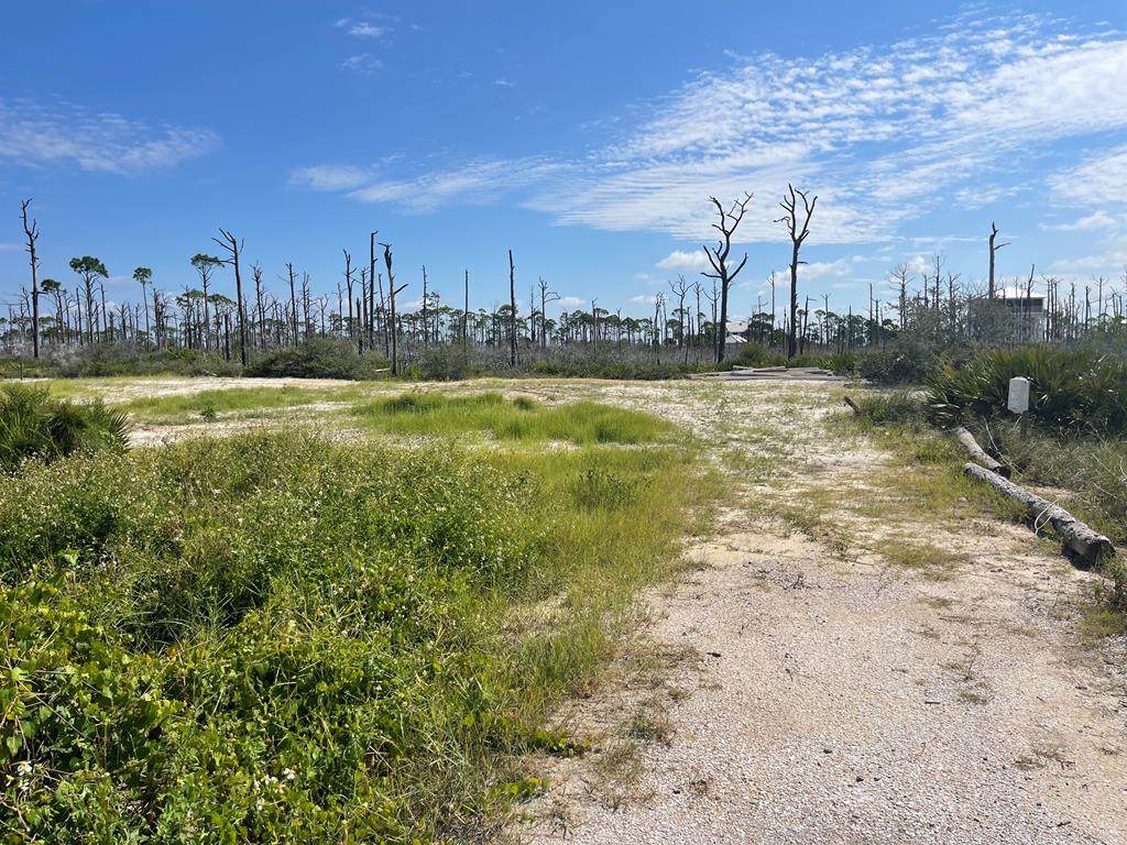 Lot 14 Bent Tree Rd - Photo 1