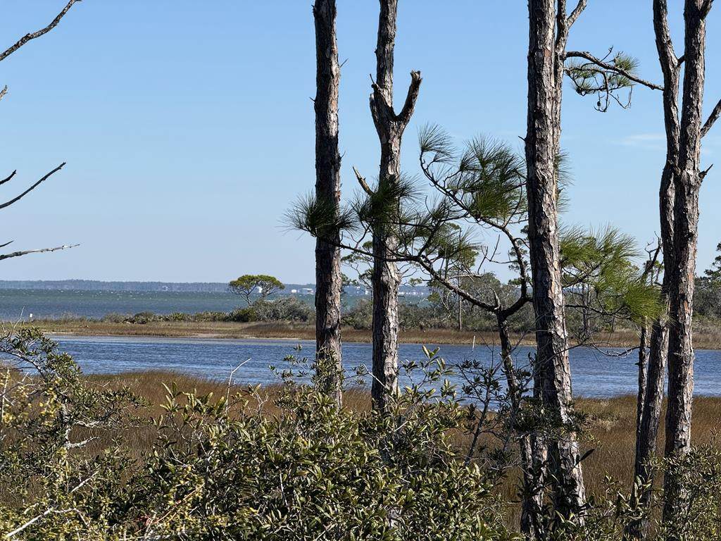 TBD Cape San Blas Rd - Photo 1