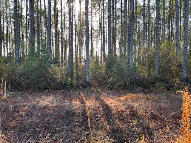 12 Douglas Landing Rd - Photo 1