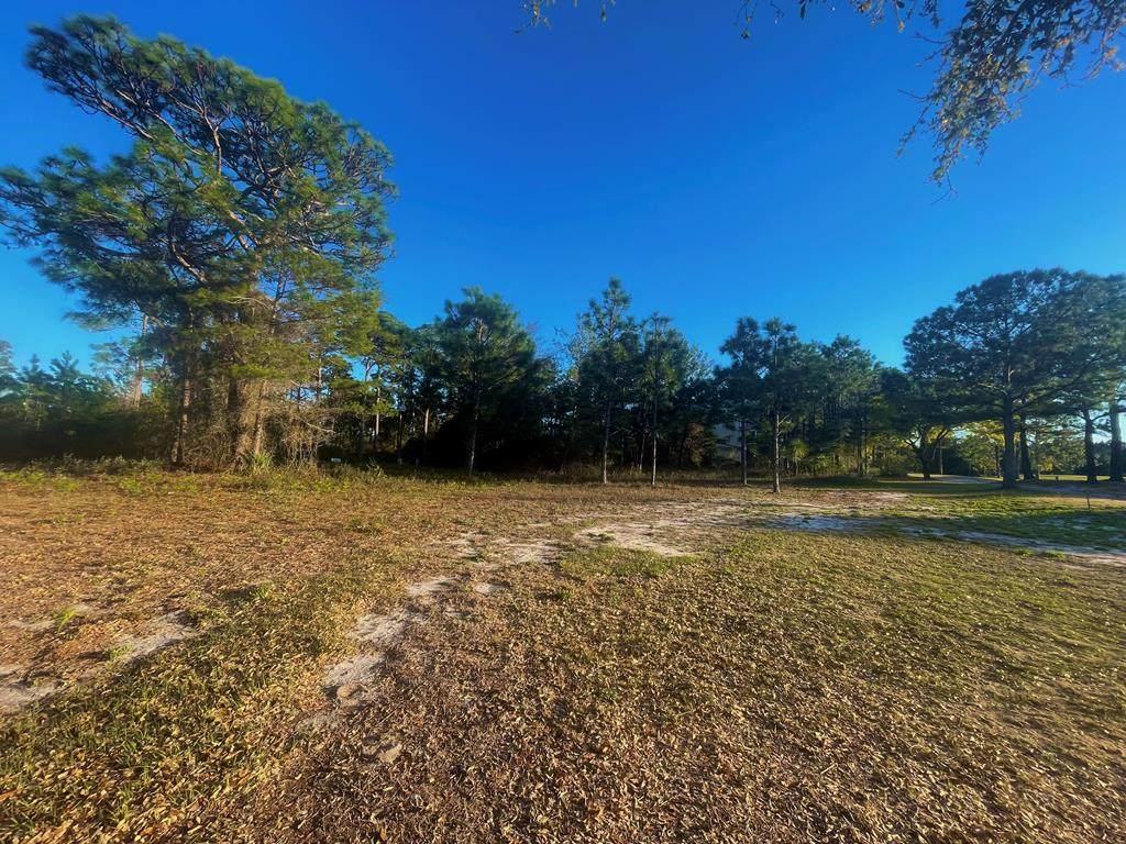 269 Royal Tern Way - Photo 1