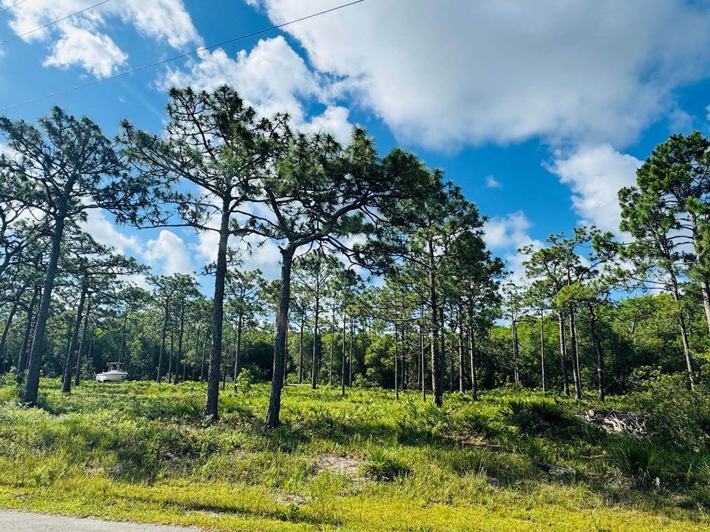 601 Houston Rd - Photo 1