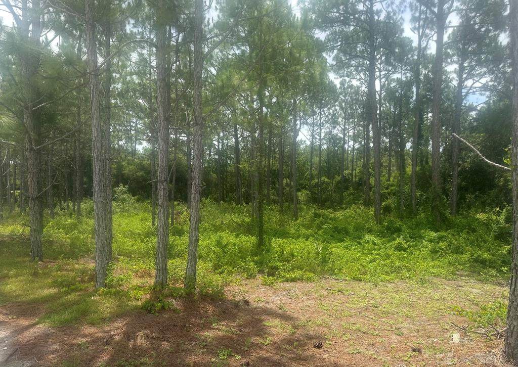 115 Plover Ct - Photo 1