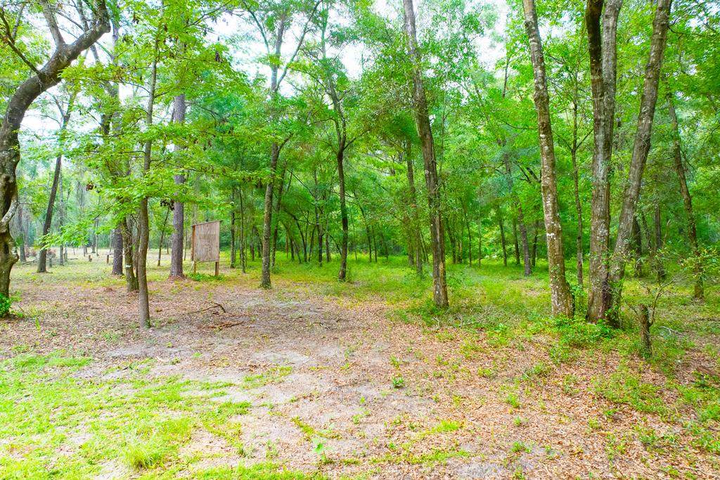 Lot 60 Revell Rd - Photo 1