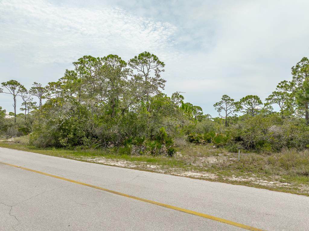 1600 Forsythia Ct - Photo 1