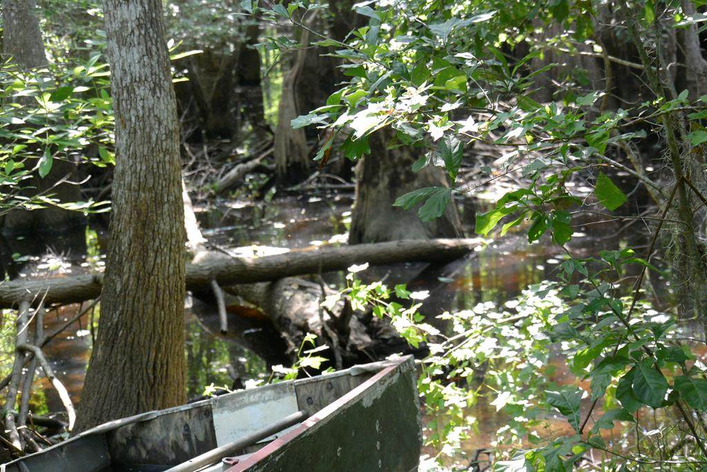 388 N Bass Dr - Photo 1