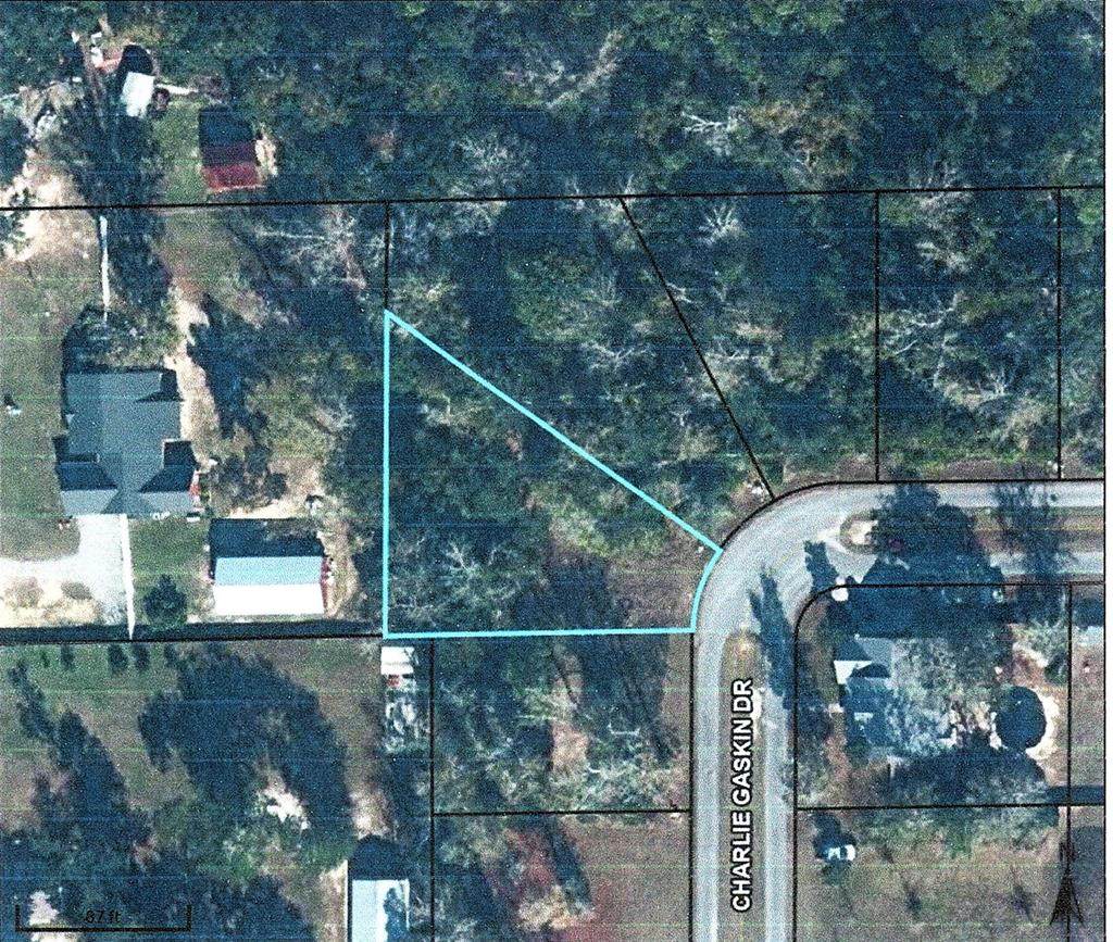 25 Charlie Gaskin Dr - Photo 1