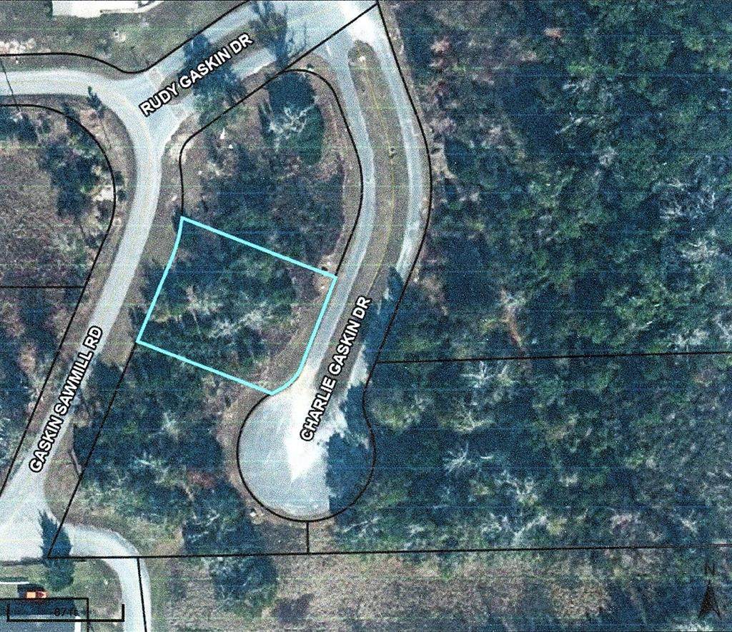 36 Charlie Gaskin Dr - Photo 1