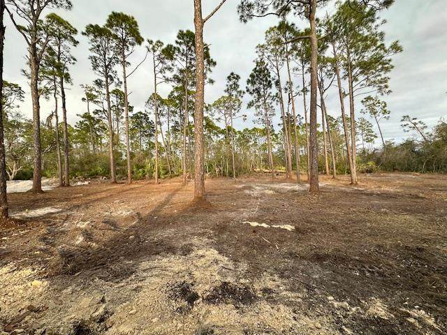 Lot 12 Watermark Way - Photo 1