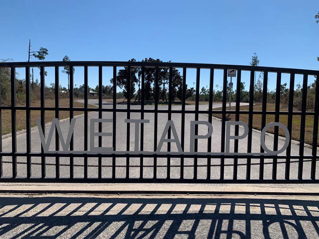 103 Torrey Pine Trl - Photo 1