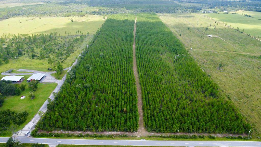 TBD Borders Rd - Photo 1
