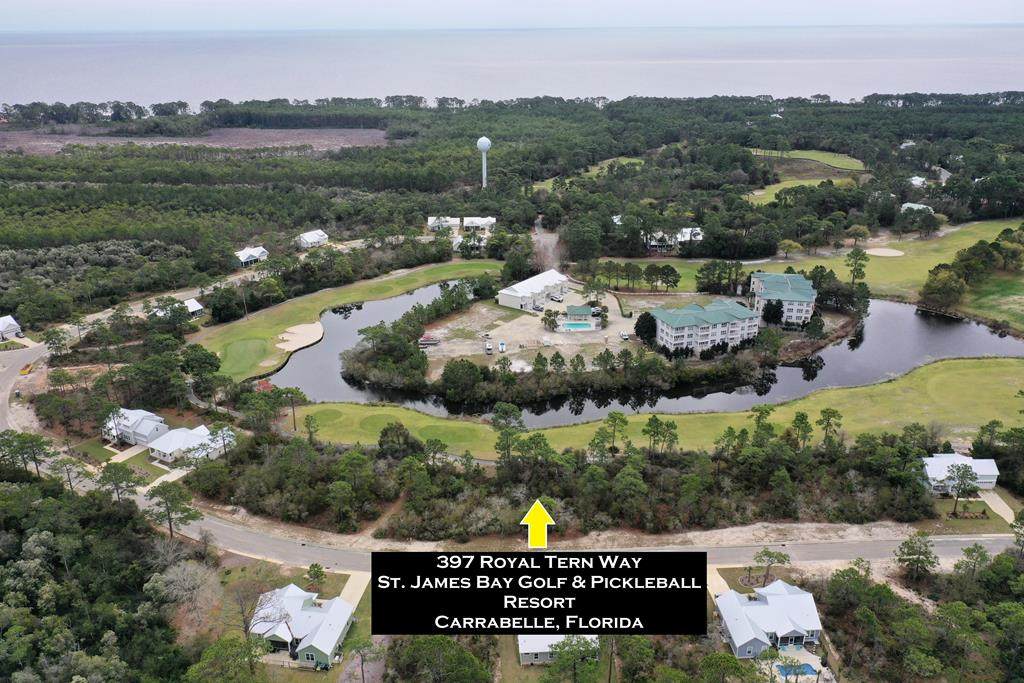 397 Royal Tern Way - Photo 1