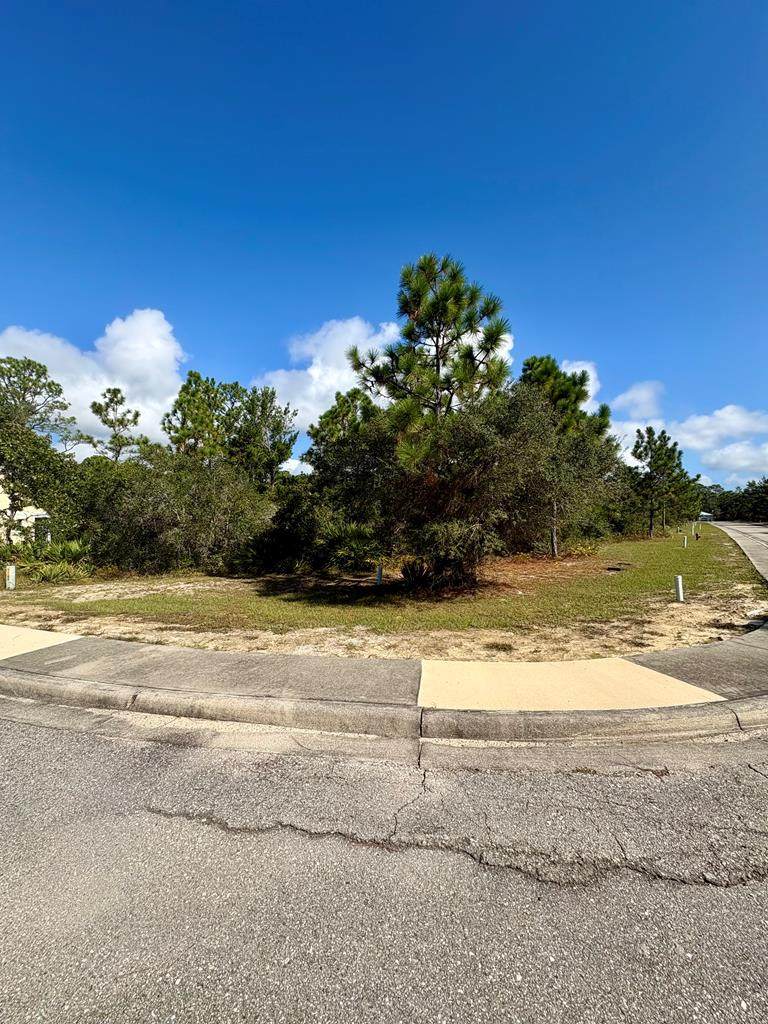 137 Anhinga Ct - Photo 1