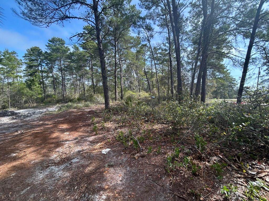 1863 Lighthouse Rd - Photo 1