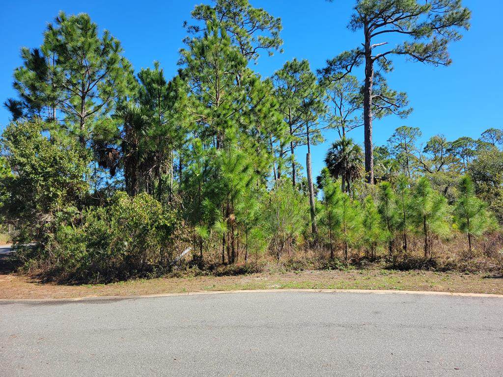 Lot 13 Sweet Bay Ln - Photo 1
