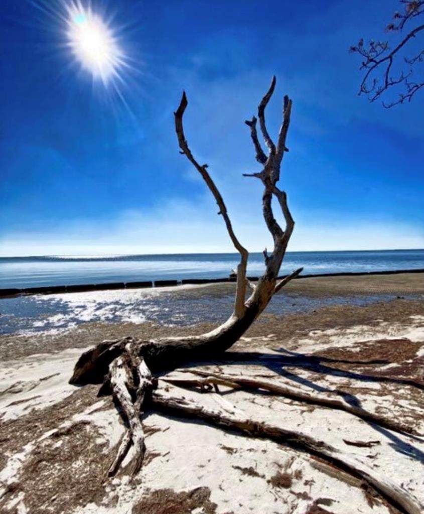 5 Indian Mounds Dr - Photo 1