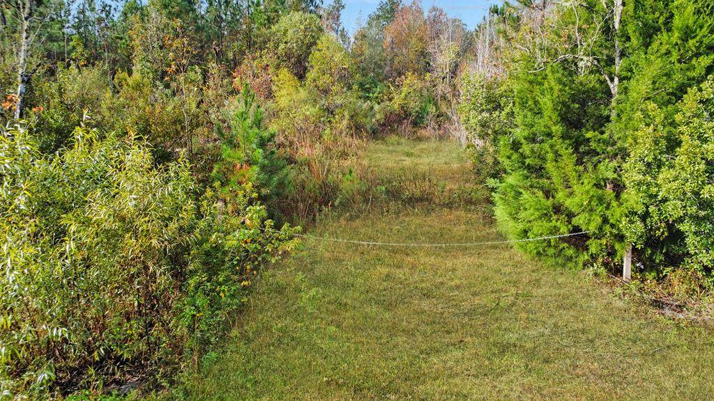 Lot 2 Old Bay City Rd - Photo 1