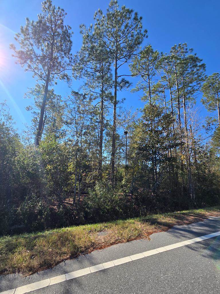 Lot 31 Doc Whitfield Rd - Photo 1