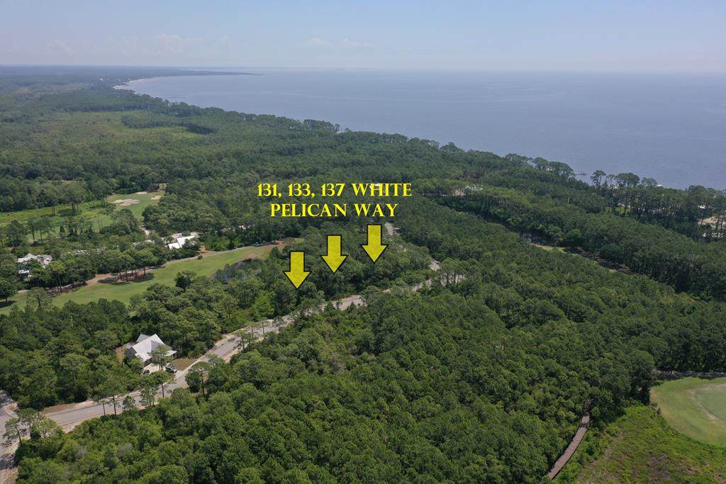 131-137 White Pelican Way - Photo 1