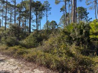 3441 Firefly Cir - Photo 1