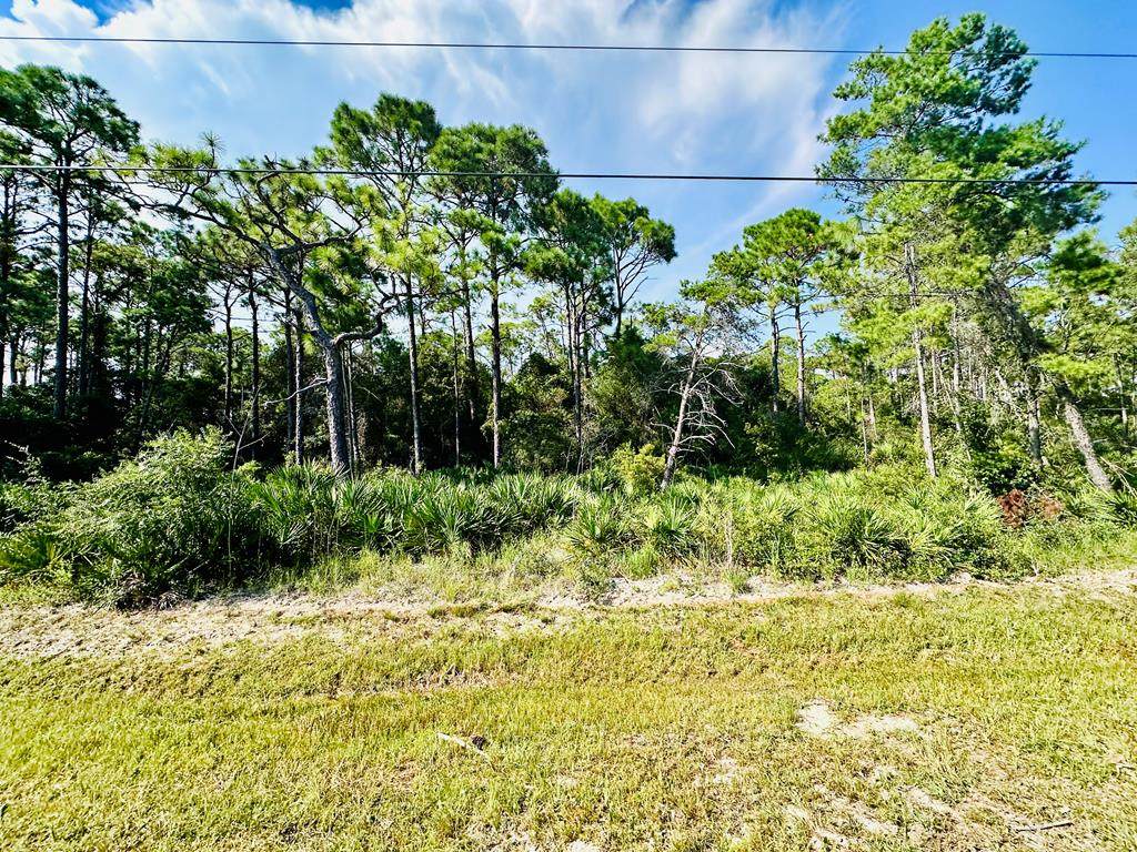 241 Twin Lakes Rd - Photo 1