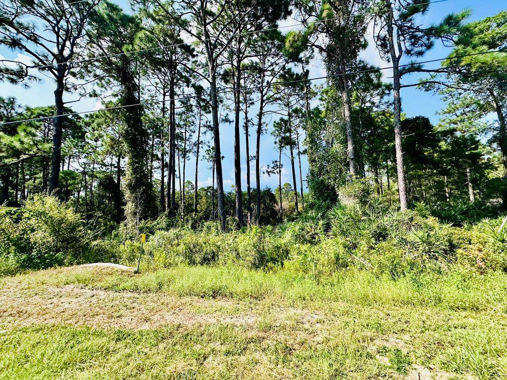 253 Twin Lakes Rd - Photo 1