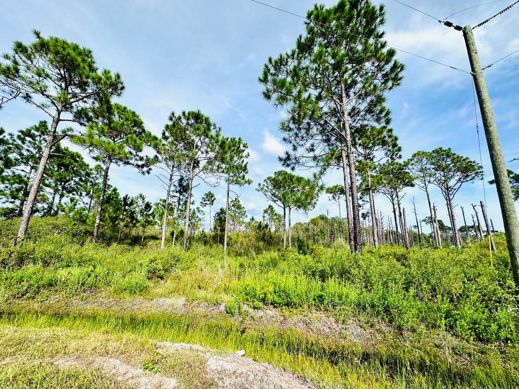 642 Ridge Rd - Photo 1