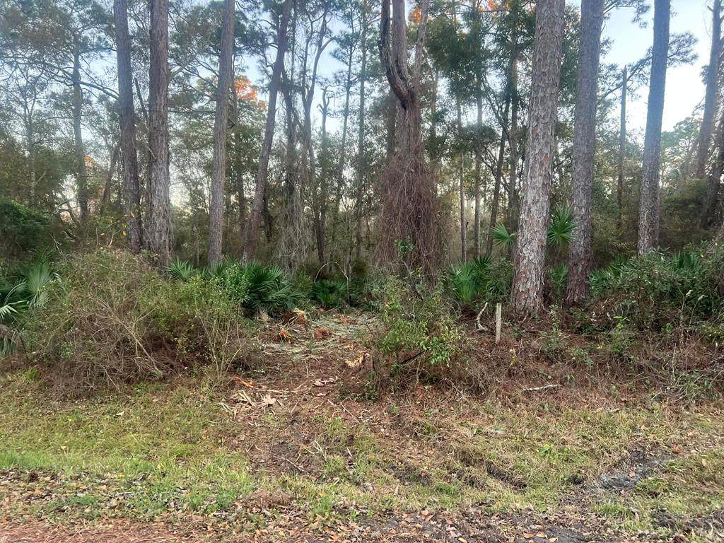34 Gibson Rd - Photo 1